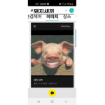 돼지같은#