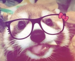 ~silly~pandas~