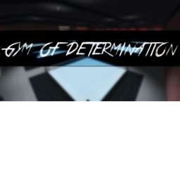 Gym of Determnation
