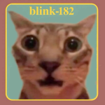 182 blink