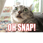 the snappers