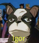 Yasmin grupo de Doação