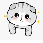 Kats Cute