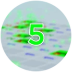 5 Wins