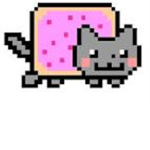 Nyan cats12345