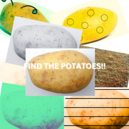 Find the Potatoes! (DESERT) 17 POTATOES