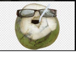 coconut gang ツ