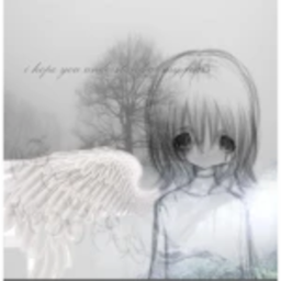 <333