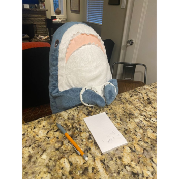 🦈˚˖