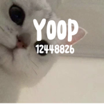 .Y O O P.