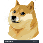 meme doge CP