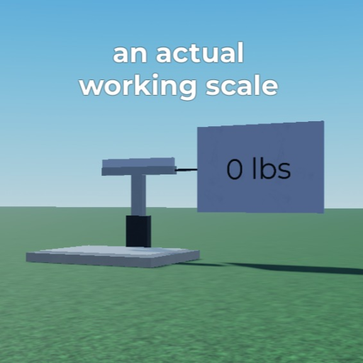 The Scale
