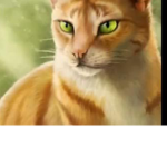 Warriors cats Rp!