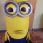 The minion cool group