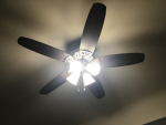 the community of fans