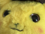 Pika developments