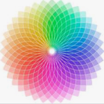 Our love of colours