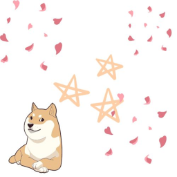 Doge race