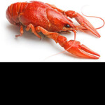 Crawfish Casserole