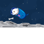 Spacedog Crew