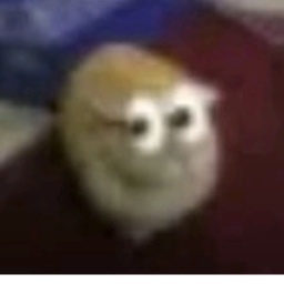 mimimi