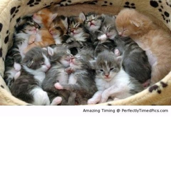 Tower of Flipping Everything