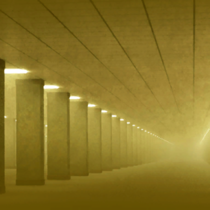The Endless Backrooms