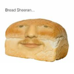 little bread yes