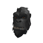 Kong Head