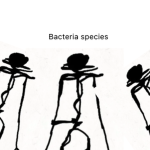 Bacteria species