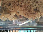 Hamster pet group