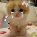 crykitty Group Thumbnail