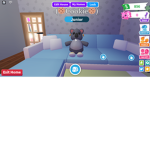 The boiz and gals still chill of cute koala