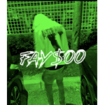 Fay$oo