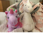 Unicorn squad is the best at unicorn