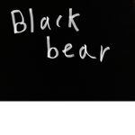 Blackbear gamer