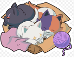 strong cats