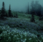 (Aesthetic)<3