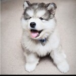 𝙢 𝙖 𝙠 𝙚 𝙨