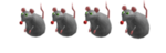 Big Mouse Cheese Productions
