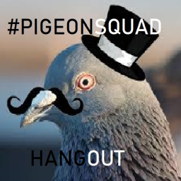 #PIGEONSQUAD Hangout