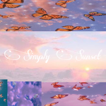 Sunset Rised