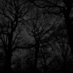 ; 23ș Group Thumbnail