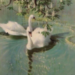 ʙʀɪ’s ᴄʟᴏᴛʜᴇs