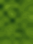Eleveins