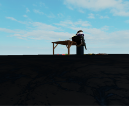Gun Test