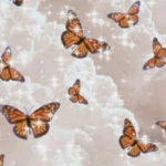 Luv butterfly