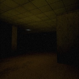 The liminal zone