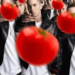 Tomato icon