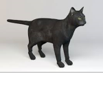 people with cats.